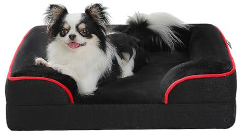 PAWZ Road Hundebett klein, waschbar, orthopädische Hundebetten mit abnehmbarem Flanell-Bezug mit Reißverschluss, Hundesofa für kleine Hunde, 2-lagiges, wasserdichtes Hundebett, Schwarz 61 x 45 x 16 cm