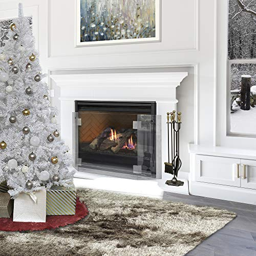 Barton 95142 - Pantalla para Chimenea (Cristal Templado), Transparente