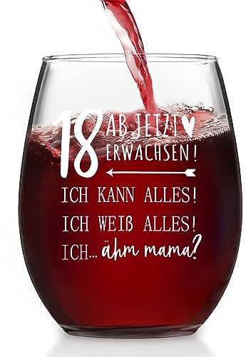 Joymaking Weinglas Geschenke zum 18. Geburtstag – Ab Jetzt Erwachsen, 18. Geburtstag Mädchen Junge Geschenk 18 Geburtstag, Coole Geschenkideen 18 Geburtstag, 18 Geburtstag Geschenk 18. Geburtstag Deko