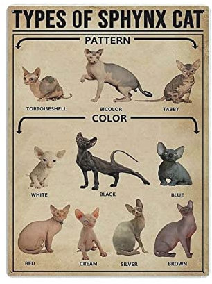 Types of Sphynx Katze Poster Metall Blechschild Kunst Wandschild Dekor Vintage Retro Schild Eisen Malerei Aluminiumschild für Wohnkultur Bar Shop Männer Höhle Outdoor Garage Indoor 40,6 x 30,5 cm