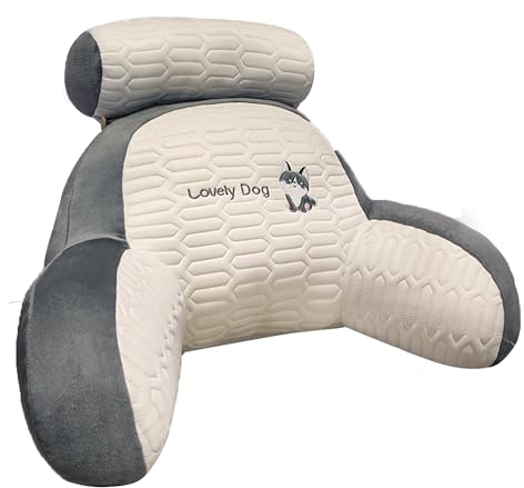 HSEECR Reading Pillow with Arms for Bed - Reading Cushion for Bed Back Support with Support Arm Detachable Backrest Pillow Washable Support Rest Pillow for Reading Relaxing Watching TV (A)