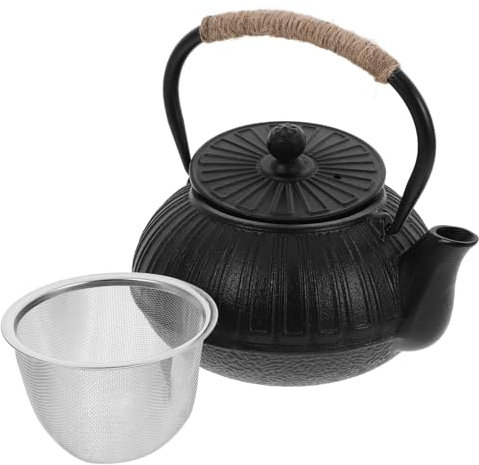 Gatuida Théière Fonte pour Poêle Filtre Bouilloire Japonaise pour Infusion de Thé Vrac