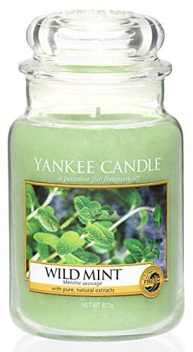 Yankee Candle Large Jar Scented Candle, Wild Mint, up to 150 Hour Burn Time