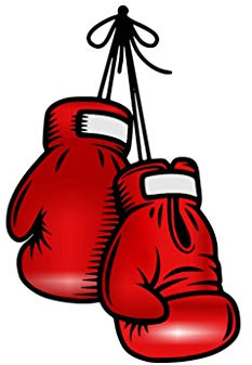Set of 5 X Boxing Gloves Iron on Screen Print Patch Applique Unique Animal Motif Transfer (RED)