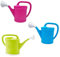 Acan - Pack de 3 regaderas de plástico de 2 litros, regar Flores, Plantas de jardín, Utensilios jardinería riego, casa, balcón, terraza, Patio (Azul, Verde y Fucsia)