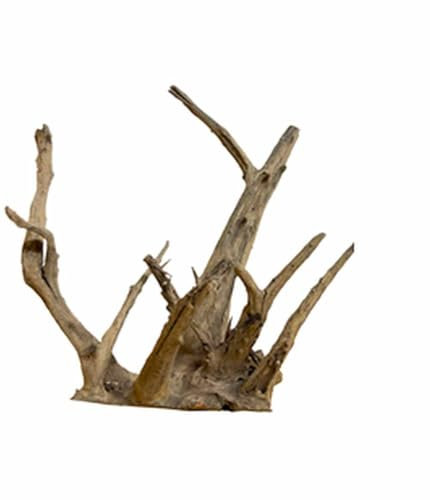 Biotope Aquatics Ltd Bois d'aquarium – Racine d'arbre structurée – Décoration d'aquarium en bois flotté – Différentes tailles (petit (10–20 cm)