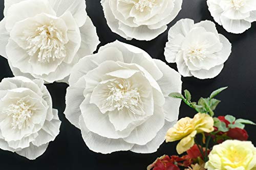 Letjolt Weiße Papierblumen-Dekorationen für Wand, Geburtstag, Party, Ostertag, Hintergrund, Hochzeit, Babyparty, Brautparty, Kinderzimmer, Wanddekoration (weißes Set 6)