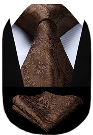 HISDERN Herren Hochzeit Braun Krawatten und Einstecktuch Klassisch Paisley Krawattensatz fur Manner