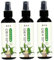 Lot de 3 engrais liquides pour plantes d'intérieur, 100 ml, pour bambou porte-bonheur