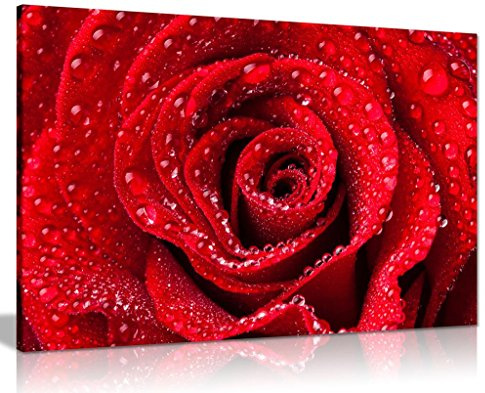 Panther Print, Canvas Wall Art, Framed Wall Pictures for Living Room and Bedroom, Modern Home Decoration, Red Rose Dew Water Drops Canvas, Prints for Special Occasions (36x24 Inch)
