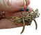 ⊹⊱☆ ★ BRONZE VINTAGE LIBELLE & TÜRKISES HOLZ RONDELL ★ ☆⊰⊹ bronze vintage Ohrringe, grossen Ohrhaken