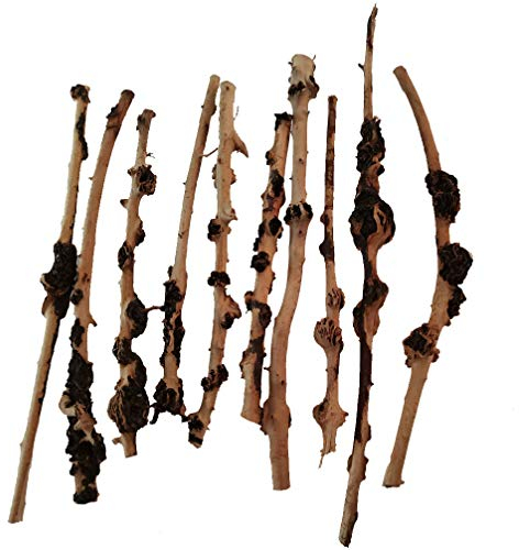 emours Reptile Décor Natural Forest Branch Terrarium Wood Aquarium Ornament Fish Tank Decoration, (Diameter(0.2-1cm),(8-13 inch) length,10pcs)