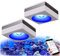 PopBloom RL90 WiFi Meerwasser LED 200W, Salzwasser LED Beleuchtung für Reef Coral Fish Wasserpflanzen Salzwasser Aquarium,APP unterstützt Deutsch (2 WiFi Lampe mit Aufhängung)