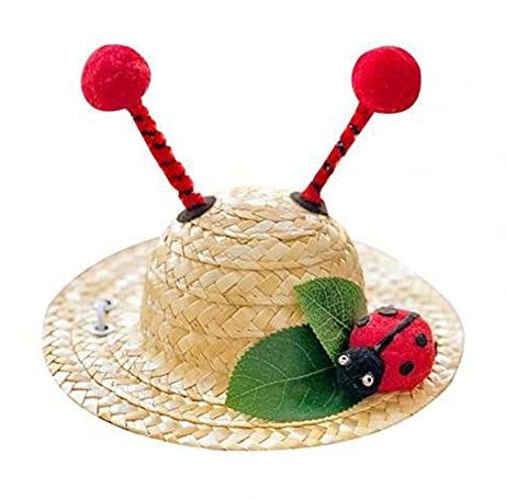 Haustierhüte Hundestickmütze Strohhut Mexikanischer Hut Insektendekoration Gestrickte Accessoires Entzückendes breiter Rand-Hut für Fotografie (Color : Little Ladybug, Size : S)
