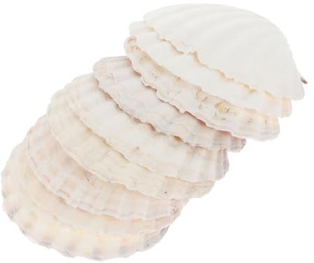 HEMOTON 10stücke Natürliche Jakobsmuschelplatten Essbare Dekoration Für Fischbecken Tischdeko Und Bastelprojekte Für Snacks Vorspeisen Und Kreative Bastelarbeiten