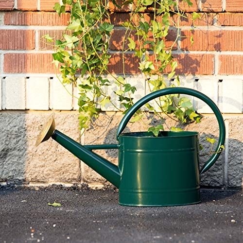 5-Liter-Gießkanne aus Metall – Elegante grüne Gießkanne, Pflanzen Gießkanne mit abnehmbarem Auslauf, schöne verzinkte Gießkanne für den Innen- und Außenbereich