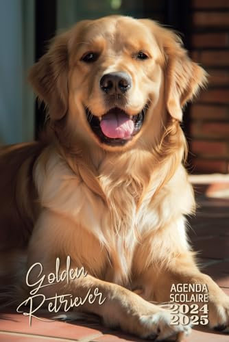Agenda scolaire Chiens 2024-2025 : chien Golden Retriever: Garçon, fille - Collège, lycée, étudiant, C.M.2 - 2 jours par page - 15,24 x 22,86 cm (proche A5) - Original - Animaux