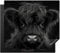 KitchenYeah© Herdabdeckplatte 60x52 cm Einteilig Induktionsmatte Küche Abdeckung Ceranfeld Herd Abdeckplatte Deko Vinyl Matte Aufrollbar Schottisches Hochlandrind - Schwarz - Kalb - Kuh