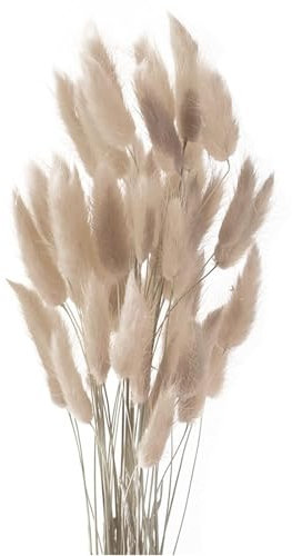 Yeehliny Pflanzenstiele, ländlicher Stil, Hasenschwanz Trockenblumen Deko ewig haltbar Pampasgras & getrocknete Blumen Pampasgras Trockenblumenstrauß Vase Deko,50 Stück (Grauer Kaffee)