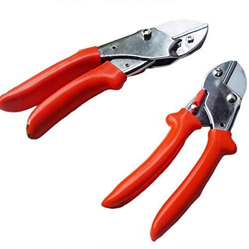 DDNGEJ Outil de Coupe 2 pièces de sécateurs de Jardinage Ciseaux à Plantes Coupe de Branches Outils de Coupe d'élagage à la Main Convient aux Jardins et aux pelouses