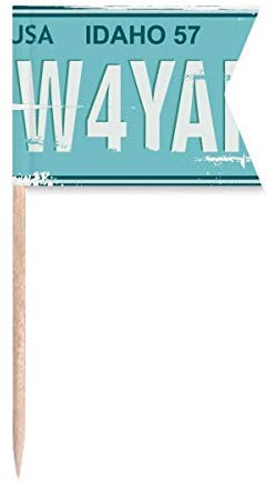 American USA Car Licence Plate Number Toothpick Flags Labeling Marking for Party Cake Food Cheeseplate