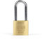 IFAM SR25 Cadenas antivol à double verrouillage avec 2 clés dentelées, solide et fiable, idéal pour valises, casiers, tiroirs 25 mm