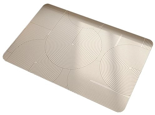 SPXMQSS Badezimmermatte rutschfest Kieselgur Badematte Duschvorleger Schnelltrocknend Badezimmerteppich rutschfest Badvorleger Waschbar 60x40cm