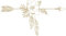 CLICKANDPRINT Aufkleber » Pfeil mit Blumen und Federn, 30x16,3cm, Beige • Wandtattoo/Wandaufkleber / Wandsticker/Wanddeko / Vinyl