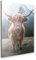artboxONE Alu-Print 30x20 cm Highland Cow in Nature von Künstler Edition