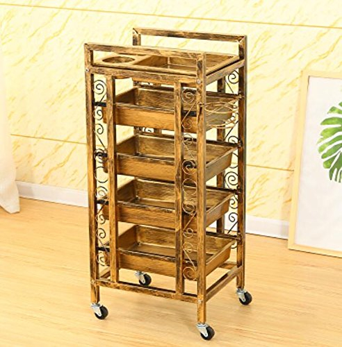 5 Tiers Retro Friseurwagen Golden Salon Wagen Schönheit Barbier Haar Färbung Tablett Rollen Lagerung Bahnhof Mit 4 Schubladen Haartrockner Halter, 2