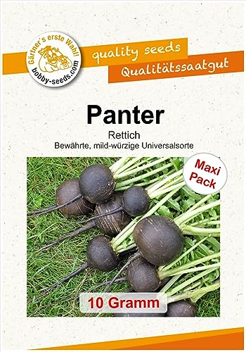 Gemüsesamen Panter, runder schwarzer Winter Rettich Maxipack