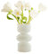 Jumuao Blumenvase Glas,Kreative Blumenvase Bubble Vasen Deko, Moderne Glasvasen Klein Hydroponic Tulpenvase,Kleine Vasen für Tischdeko,Glasvase für Haus/Büro/Hochzeit/Party (Weiß)