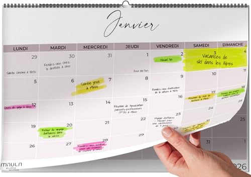 Wandkalender 2026 A4 – Jahresplaner Monatsplaner Juli 2025 bis Dezember 2026 – perfekt für Zuhause Büro Schule und Familie – Monatsansicht Kalender Organisation Arbeit Urlaub
