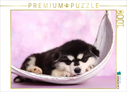 CALVENDO Puzzle Alaskan Malamute Welpe/Alaskan Malamute Puppy | 1000 Teile Lege-Größe 64 x 48 cm Foto-Puzzle für glückliche Stunden