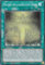 PHNI-DE065 - Mauern der Kaiserlichen Gruft - Super Rare - 1. Auflage - DEUTSCH - Phantom Nightmare - mit LMS Trading Fieldcenter-Karte Yugioh