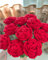 YOFANUP Bouquet de fleurs au crochet à faire soi-même, fleurs artificielles finies à la main, roses rouges tricotées pour femme, épouse, mère, anniversaire, mariage (6, rouge)