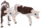VICASKY Modelos realistas de vaca amarilla – 2 miniatura vacas lecheras accesorios de jardín