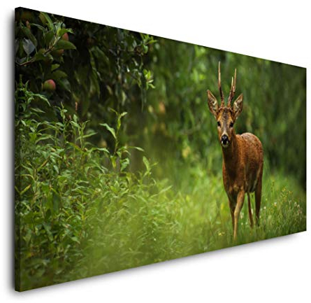 Wald Atmosphäre 120x 60cm Panorama Leinwand Bild XXL Format Wandbilder Wohnzimmer Wohnung Deko Kunstdrucke