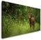 Wald Atmosphäre 120x 60cm Panorama Leinwand Bild XXL Format Wandbilder Wohnzimmer Wohnung Deko Kunstdrucke