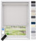 EFIXS Sonnenschutz Rollo, transparent, Breiten: 40-240, Höhe bis 275 cm, Hier 130 x 190 cm (BxH), Weiss, Blendschutz, Kettenzug, Springrollo, Motor