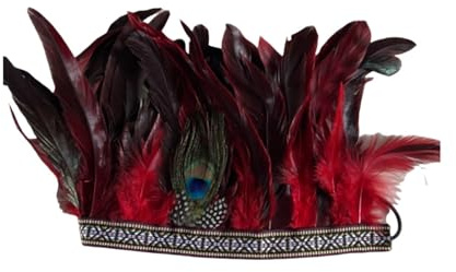 KANLVU Feder Kopfbedeckung Indischer Showgirl-Kopfschmuck Für Karneval, Paraden, Festivals, Tanzwettbewerbe Haarschmuck Für Energiegeladene Bewegungen