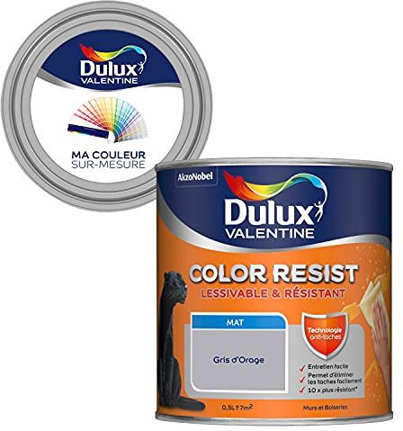 Ma Couleur Sur-Mesure par Dulux Valentine – Peinture Intérieure Murs, Plafonds, Boiseries - Palette Jeu, Pièce à Vivre Mat, Gris d'Orage, 0,5 L