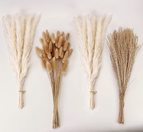 Decoración de Hierba de Pampas Seca, 100 PCS de Hierba de Pampas Contiene Flores Secas de Cola de Conejo, Ramo de Hierba de Carrizo para Decoración de Mesa de Boda, Flores Boho para el Hogar