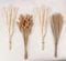 Decoración de Hierba de Pampas Seca, 100 PCS de Hierba de Pampas Contiene Flores Secas de Cola de Conejo, Ramo de Hierba de Carrizo para Decoración de Mesa de Boda, Flores Boho para el Hogar