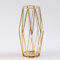 Zylindrische Glasvase mit Metallhalterung für Pampasgras & Blumen, Skandinavisch Inspirierte Vase Deko für Hochzeit Inneneinrichtung - 28 cm Hoch, Gold