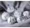 FeiliandaJJ 12Pcs Weihnachtskugeln Transparent Christbaumkugeln Weiss Schneeball Weihnachten Anhänger Kugeln Party Home Hochzeit Deko Ornamente für Weihnachtsbaum (Weiss)