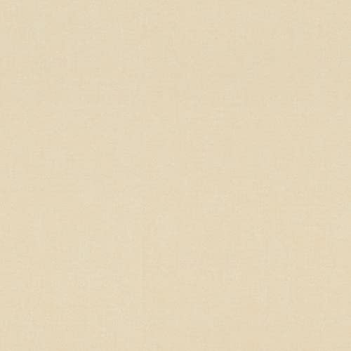 Rasch Tapeten 552799 - Einfarbige Vliestapete aus der Kollektion Salisbury in mattem Beige mit leichter Struktur – 10,05m x 53cm (L x B)