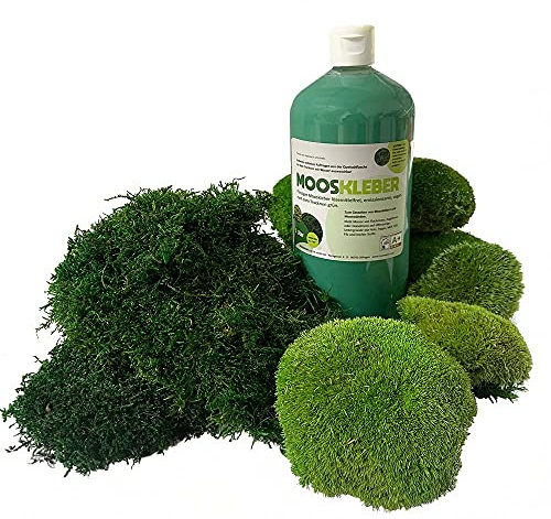 250 g Kugelmoos + 500 g Flachmoos + 1 Liter Mooskleber - Plattenmoos und Bollenmoos konserviert - Moos-Set DIY