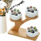 Pequeñas macetas suculentas | Maceta para plantas de cactus con soporte, macetas de jardín suculentas de cerámica para el hogar, decoración de jardín
