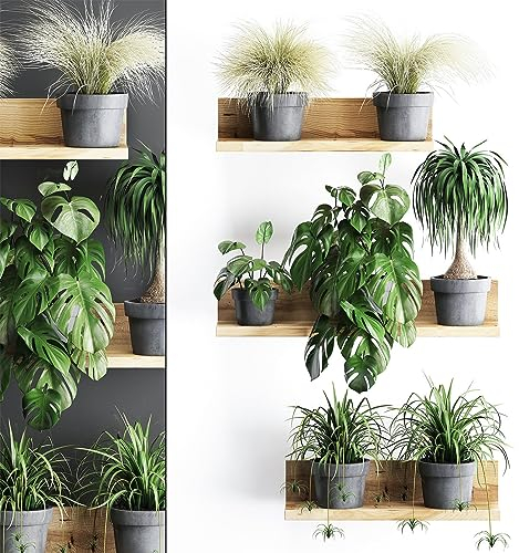 AIBAOBAO 3D Grüne Pflanze Wandtattoo, Entfernbarer PVC Bonsai Wandaufkleber, Grüne Pflanze Aufkleber Hintergrund Wanddekoration, wandtattoo pflanzen für Wohnzimmer, Schlafzimmer, Pflegeheim
